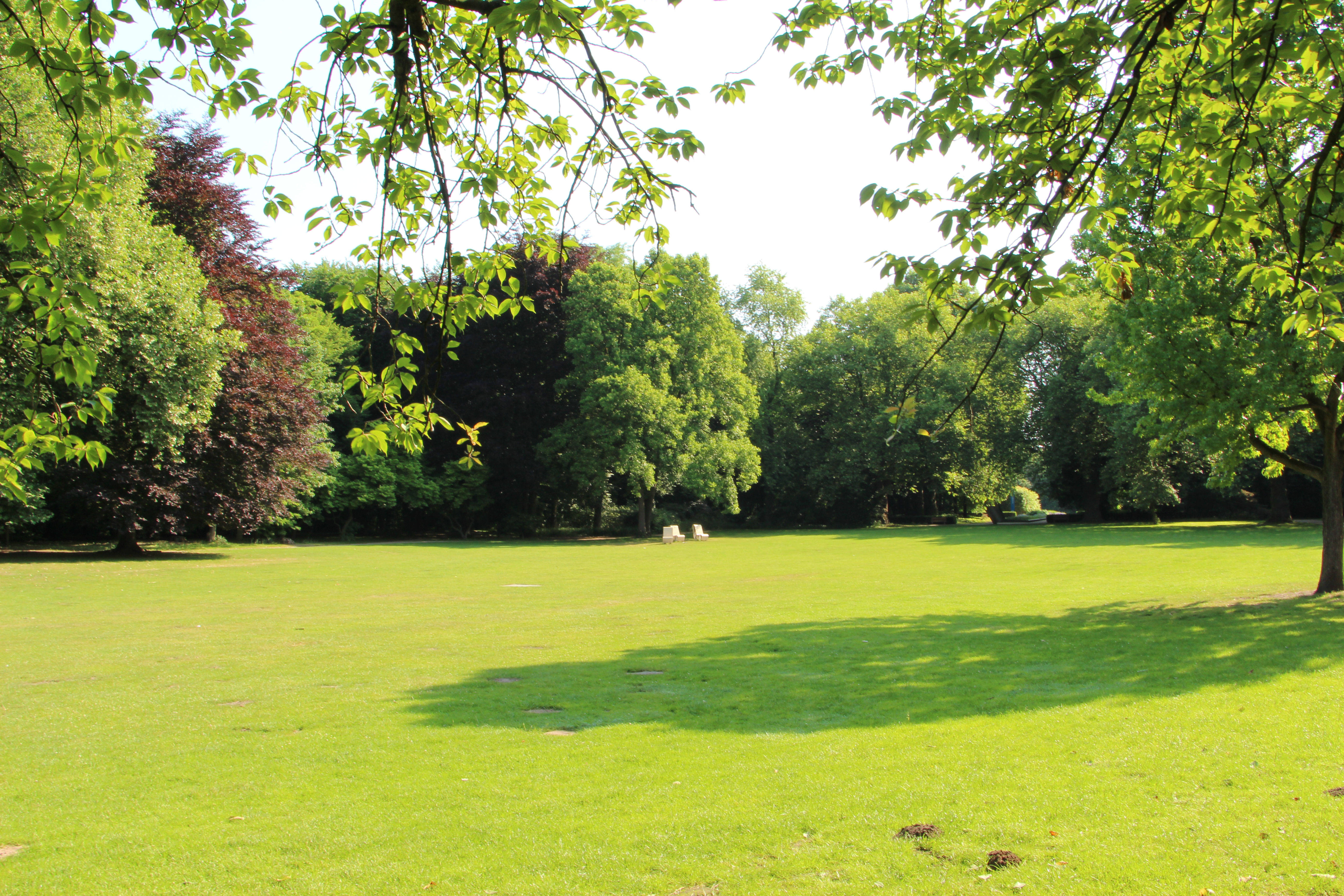 Grünfläche in der Stadt Kaisergarten Oberhausen, 2017 Wiese im Kaisergarten Oberhausen